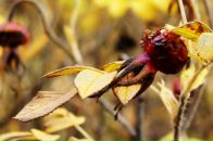 Фотография Медведевой Татьяны