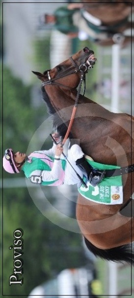 Proviso Mare фото №1