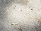 Роша Олексій фотография #10 (источник - https://vk.com/id71107879)