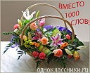 Іра Ділай фотография #32 (источник - https://vk.com/id74241169)