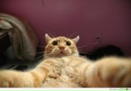 Фотография Елисеевой Екатерины