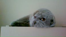 Фотография Молокановой Ольги