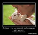 Фотография Троценко Николая