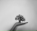 Фотография Мисевич Юлии