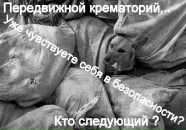 Фотография Позняк Евгении