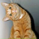 Фотография Липиной Татьяны