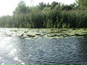 Христинка Забігач фотография #49 (источник - https://vk.com/id60955895)