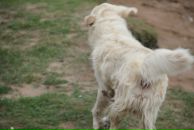 Иван Любченко фотография #29 (источник - https://vk.com/id682883)