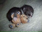 Фотография Евгенова Дмитрия