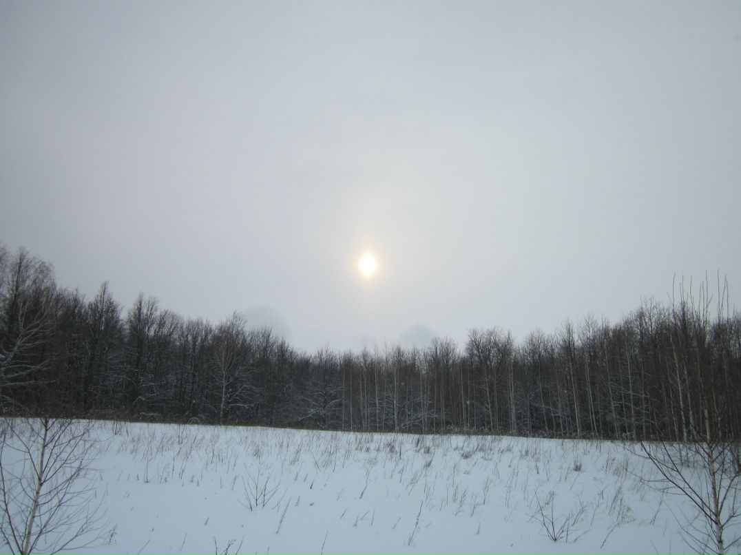 Дмитрий Козлов фотография #25