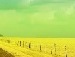 Вікочка Уліганець фотография #12 (источник - https://vk.com/id134669370)