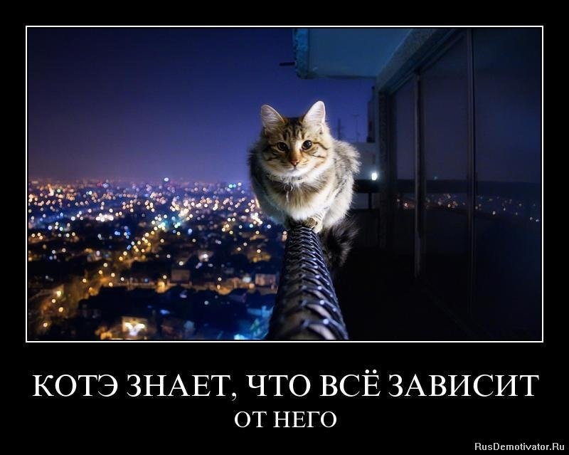 Катя Щербакова фотография #19