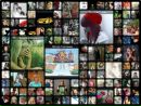 Олічка Каганець фотография #30 (источник - https://vk.com/id142347326)