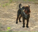 Андрей Ермаков фотография #3 (источник - https://vk.com/id247891)