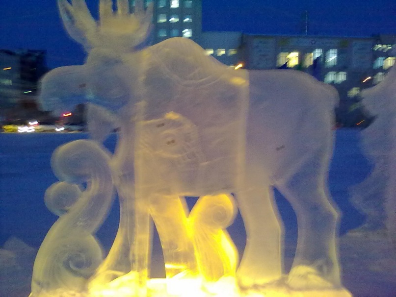 Мичил Ноговицын фотография #9