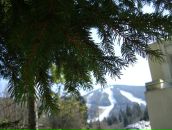 Сергей Сурков фотография #33 (источник - https://vk.com/id1990688)