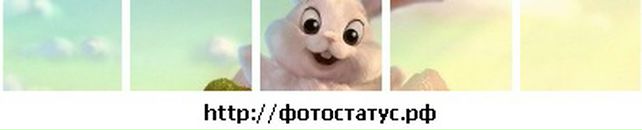 Максім Степанець фотография #36 (источник - https://vk.com/id121942116)