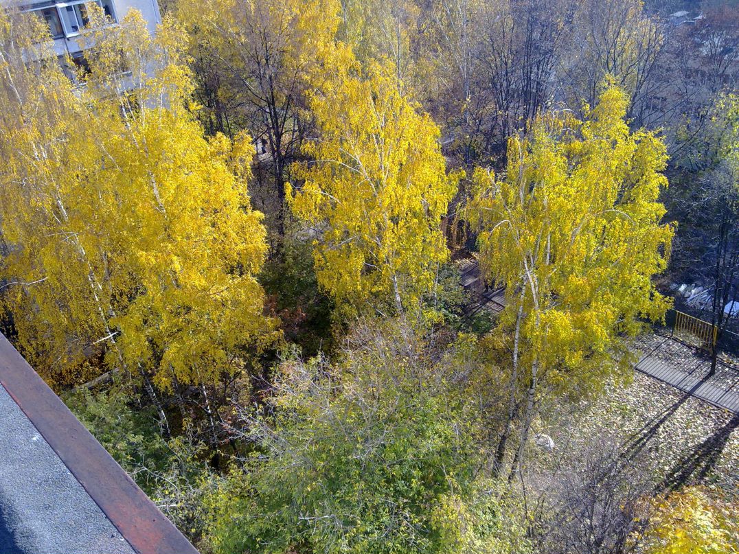 Дима Мокроусов фотография #28