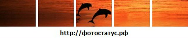 Алмаз Давлетшин фотография #46 (источник - https://vk.com/id12371575)