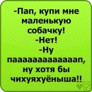 Мася =) фотография #12 (источник - https://vk.com/id137383350)