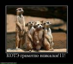 Далида Абдулаева фотография #21 (источник - https://vk.com/id673657)