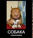 Ростік Білоусов фотография #13 (источник - https://vk.com/id86233901)