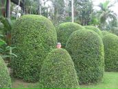 Сергей Битнер фотография #10 (источник - https://vk.com/id3864433)