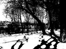 Попіл Троянди фотография #26 (источник - https://vk.com/id143507065)
