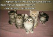 Ліза Найдьонова фотография #47 (источник - https://vk.com/id161034164)