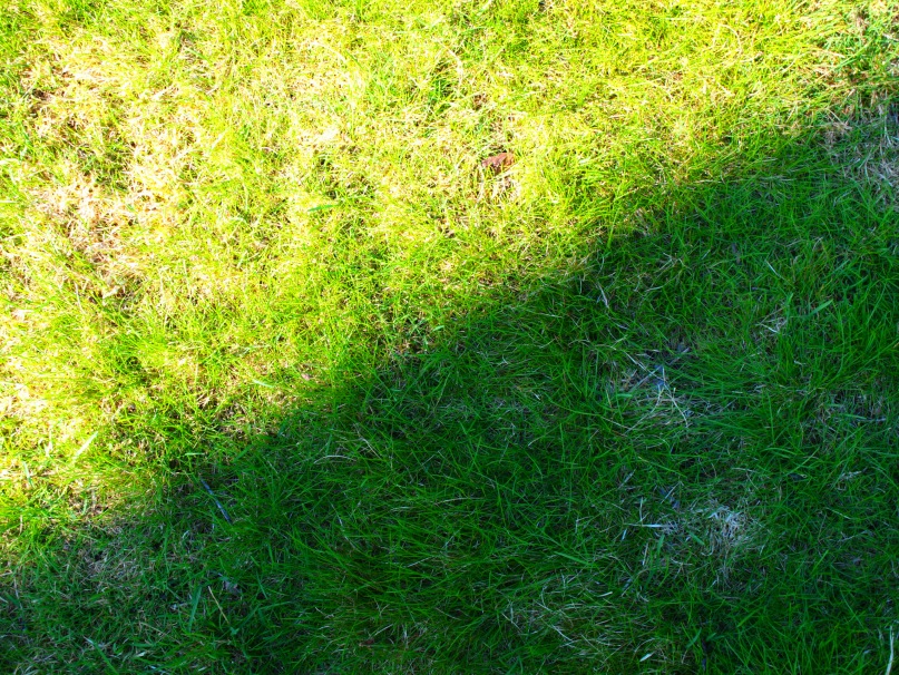 Сергей Гуревич фотография #29