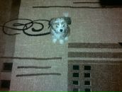 Фотография Гусаровой Натальи