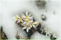 Фотография Дергачева Павла