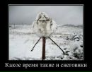 Дима Вегера фотография #50 (источник - https://vk.com/id27534833)