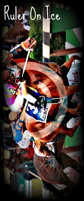 Девил Кобыла фотография #2