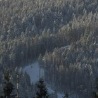 Таня Зінченко фотография #27 (источник - https://vk.com/id143787901)