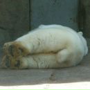 Фотография Хохловой Анастасии