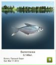 Андрій Стеців фотография #40 (источник - https://vk.com/id164789428)