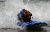 Фотография Николаевича Игоря