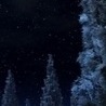 Соломія Самбірська фотография #49 (источник - https://vk.com/id144102689)