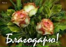 Ірина Каспрук фотография #9 (источник - https://vk.com/id159345337)