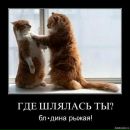 Сергій Броновський фотография #48 (источник - https://vk.com/id40719461)