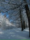 Антон Смирнов фотография #17 (источник - https://vk.com/id160448316)