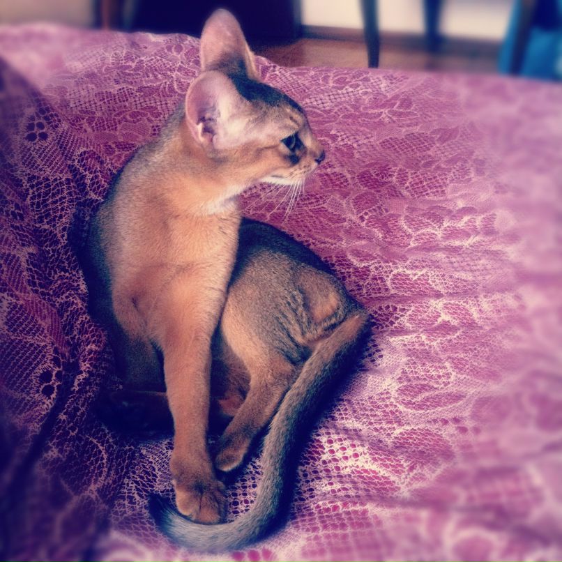 Дмитрий Дмитриев фотография #31