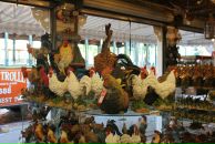 Ігор Дмитерко фотография #27 (источник - https://vk.com/id2264196)