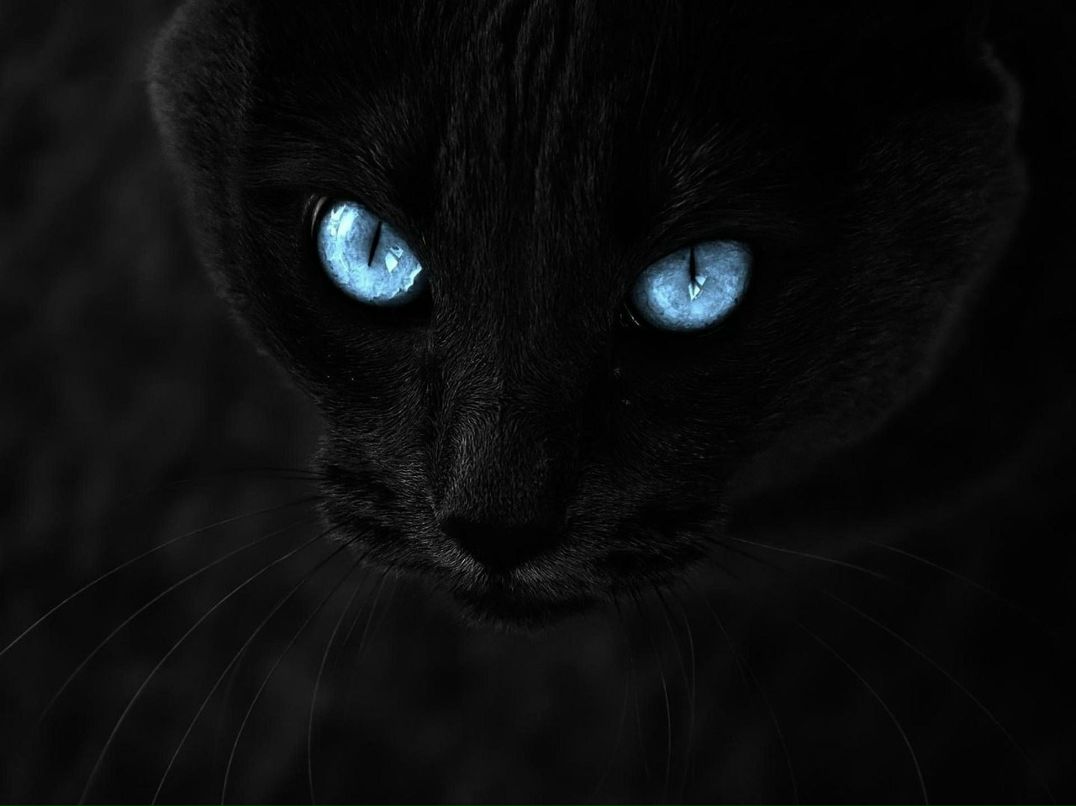 Мария Ммм фотография #5