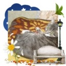 Сергій Каказей фотография #23 (источник - https://vk.com/id18138151)