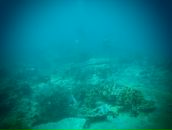 Евгений Мурышкин фотография #14 (источник - https://vk.com/id107583)