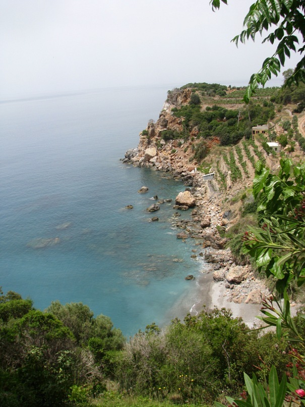 Ранис Халитов фотография #27