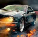 Віталік Романенко фотография #7 (источник - https://vk.com/id168040912)