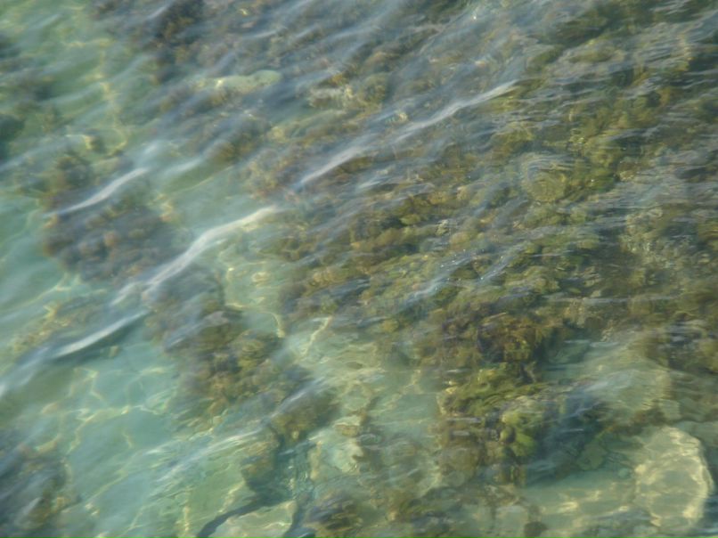 Катя Степанова фотография #12